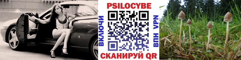 Галлюциногенные грибы прущие грибы  Игра 